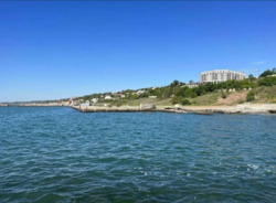 ��������� �������� ���� ������������� ���., 91, �����, �������, ��������, ������ ���� 23