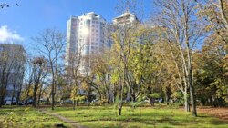 ���������� �������� ��� ����� �������� �� ����� ���� ��� ������� ������ ���� 28