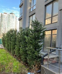 Продається квартира Марсельська вул. (Лиманськ. р-н), 33В, Одеса, Одеська, Пересипський (Суворовський) фото 10 Продається квартира Марсельська вул. (Лиманськ. р-н), 33В, Одеса, Одеська, Пересипський (Суворовський) фото 10