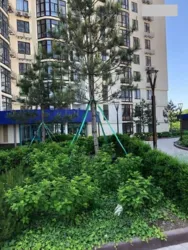 ��������� �������� ���������� ������ ���., 124, �����, �������, �������� ���� 5