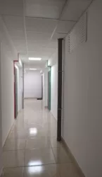 ��������� �������� ������� (25-�� ���. �������), 2�, �����, �������, ��������, ������ ���� 11