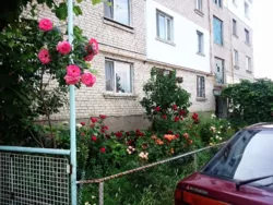 4-���. �������� � �������� ��� ���� � �. ��������. ���� 12