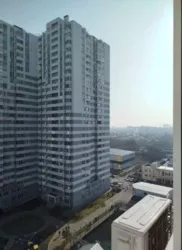 ��������� �������� ������������ ������ ���., 55/2, �����, �������, ��������, ������ ���� 11