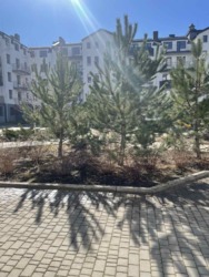 ������ 1-� �������� 33 �² � �� Ventum. ������� ����! ���� 15