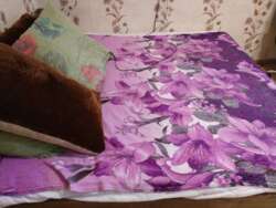 ���������� �������� ��� ������ ���� ���� 36