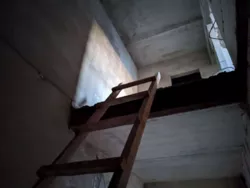 ������ ��������� 3� �������� 80� � �� ������ ĳ� ���� 46