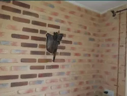 1-������� �������� �� ������ �������� ���� 4