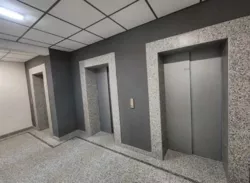 ��������� �������� ����������, 29, �����, �������, �������� ���� 6