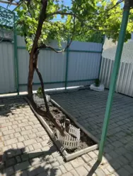 2-������� �������� �� ���� � ������������ ������ ��������� ���� ������� � ��������� ���� 2