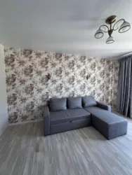 ��������� �������� �����������, 56, �����, �������, ������������ (������������) ���� 3