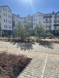 ������ 1-� �������� 33 �² � �� Ventum. ������� ����! ���� 1