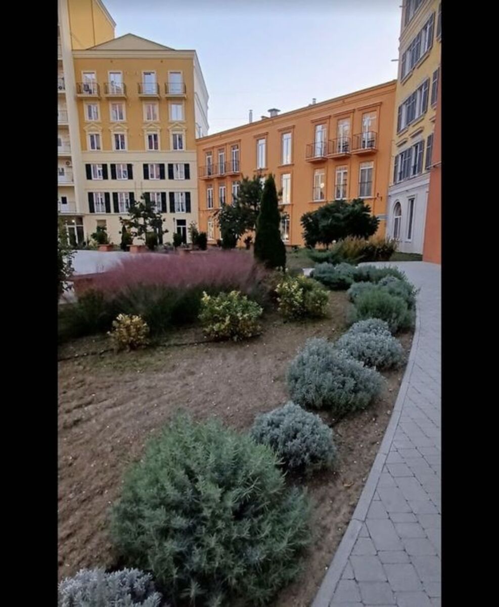 �� '��� ����' ������� 1 ��������� �������� ���� 1