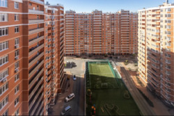 �� �Real park' ������� 3 ��������� �������� ���� 17