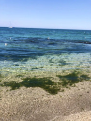 �� 8 ��������� ������� 2 ��������� �������� ���� 17