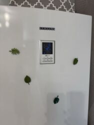 �� �������� ������� ���� 12