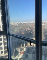 �� ��������� ������� 1 ��������� �������� ���� 4