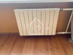 ������ 3 � �������� �.������� ( �������� �������) 31�. �������������. ������������� �����. ���� 20