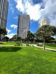 ��� % ������ 1 � ��������.�� ���������.�������.����������� �����. ���� 11