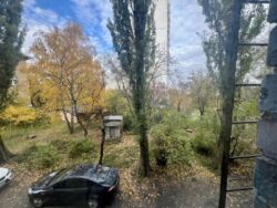 ��������� �������� ���, �����������, ������� �������, ���������� ����, 39� ���� 11