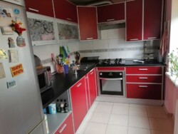 ��������� �������� �������, 13, ��������, ���������, ������������ ���� 1