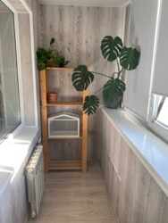 ��������� �������� ���������� ��������, 29, ��������, ���������, ������������ ���� 8