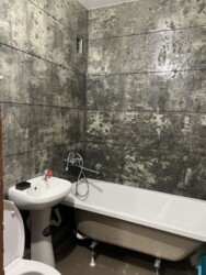 ��������� �������� �����������������, 19�, ��������, ���������, ��������������� ���� 11