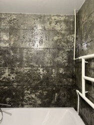 ��������� �������� �����������������, 19�, ��������, ���������, ��������������� ���� 12