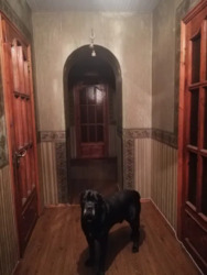 Продаж 4-кімнатної квартири в центрі міста проспект Соборний, район бульвару Шевченка фото 13 Продаж 4-кімнатної квартири в центрі міста проспект Соборний, район бульвару Шевченка фото 13