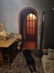 Продаж 4-кімнатної квартири в центрі міста проспект Соборний, район бульвару Шевченка фото 9 Продаж 4-кімнатної квартири в центрі міста проспект Соборний, район бульвару Шевченка фото 9