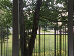 Продається квартира Сталеварів, Запоріжжя, Запорізька, Олександрівський фото 5 Продається квартира Сталеварів, Запоріжжя, Запорізька, Олександрівський фото 5