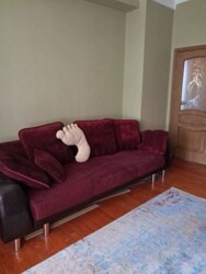 ��������� �������� ��������, ���������, ������������ ���� 9