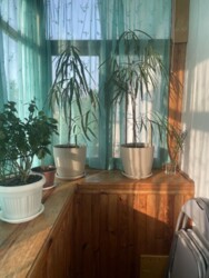 Продається квартира Бельфорський бульвар, 3, Запоріжжя, Запорізька, Дніпровський фото 8 Продається квартира Бельфорський бульвар, 3, Запоріжжя, Запорізька, Дніпровський фото 8