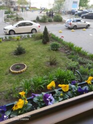 Продається квартира Товариська, 68, Запоріжжя, Запорізька, Дніпровський фото 1 Продається квартира Товариська, 68, Запоріжжя, Запорізька, Дніпровський фото 1