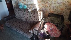 ��������� �������� ��������, ���������, ��������������� ���� 5