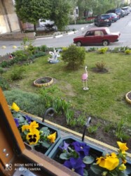 Продається квартира Товариська, 68, Запоріжжя, Запорізька, Дніпровський фото 13 Продається квартира Товариська, 68, Запоріжжя, Запорізька, Дніпровський фото 13