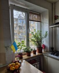 ��������� �������� ��������, ���������, ��������������� ���� 14