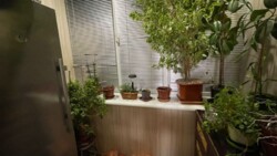 Продається квартира Запоріжжя, Запорізька, Олександрівський фото 21 Продається квартира Запоріжжя, Запорізька, Олександрівський фото 21