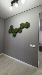 ��������� �������� ����� ������������, 1-�, ��������, ���������, ������������ ���� 18