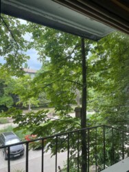 ��������� �������� ��������, 81, ��������, ���������, ��������������� ���� 18