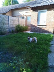 ��������� �������� ��������, ���������, ������������ ���� 12