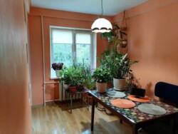 ��������� �������� �������, 13, ��������, ���������, ������������ ���� 8