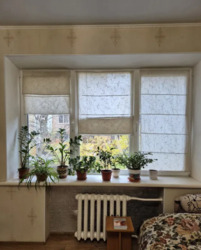 ��������� �������� ��������, ���������, ��������������� ���� 7