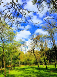 Продається квартира Володимира Гришенка, 26-А, Запоріжжя, Запорізька, Вознесенівський фото 5 Продається квартира Володимира Гришенка, 26-А, Запоріжжя, Запорізька, Вознесенівський фото 5