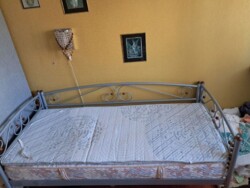 ��������� �������� ��������, ���������, ������������ ���� 11