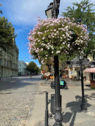 � ������: 2-������� �������� �� ������������, ������ ������� �����. ���� 6