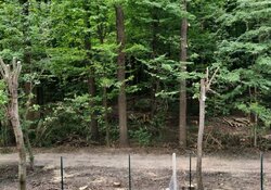 Продаж 2к квартири 62.4 кв. м в ЖК Forest Home. Посередників прохання не турбувати. фото 2 Продаж 2к квартири 62.4 кв. м в ЖК Forest Home. Посередників прохання не турбувати. фото 2