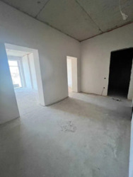 ������ 1-������� �������� �� ���. ������������, 41 ���� 17