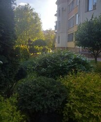 ������ 4� �������� 156.2 ��. � �� ���. ������ 28 ���� 3