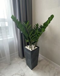 ������ 1� �������� 46.3 ��. � �� ���. 600-���� 3� ���� 18