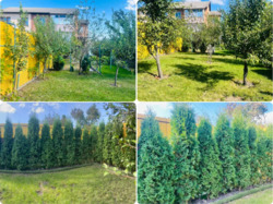 Продаж будинку фото 11 Продаж будинку фото 11